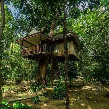 Baan Khaosok Resort Khao Sok National Park Extérieur photo