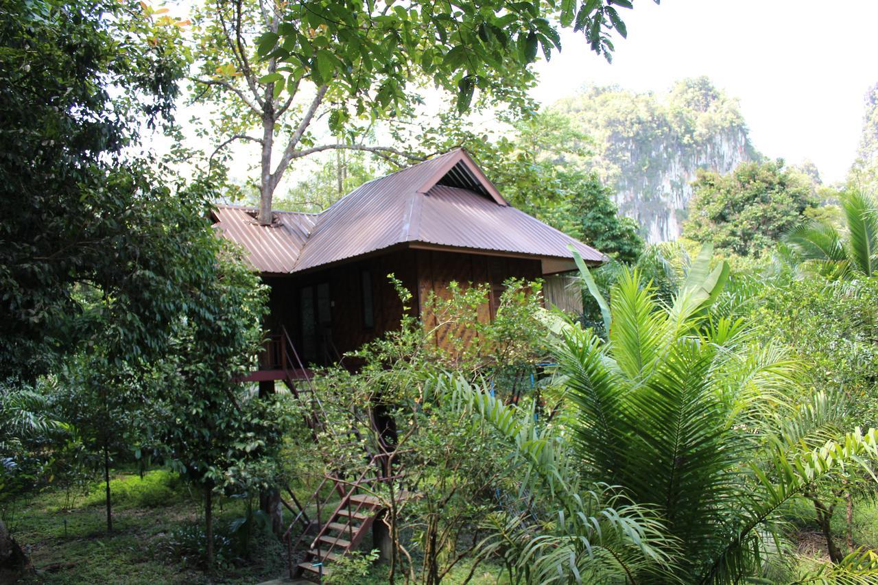 Baan Khaosok Resort Khao Sok National Park Extérieur photo