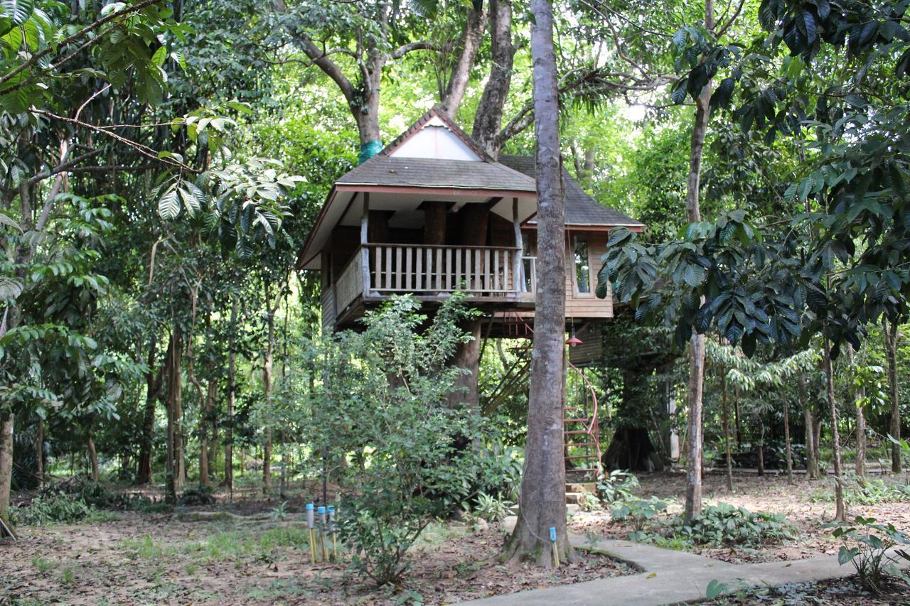 Baan Khaosok Resort Khao Sok National Park Extérieur photo
