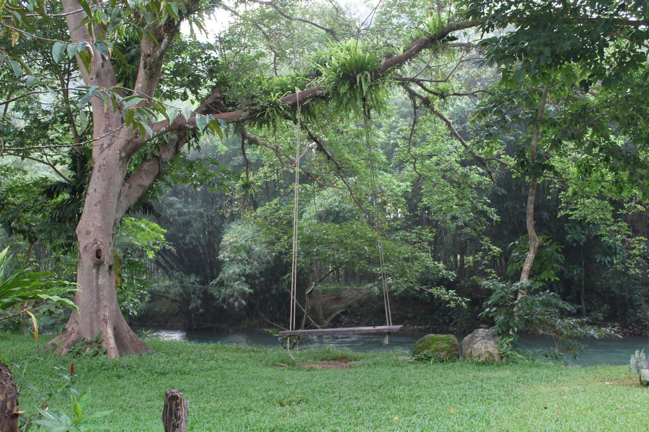 Baan Khaosok Resort Khao Sok National Park Extérieur photo