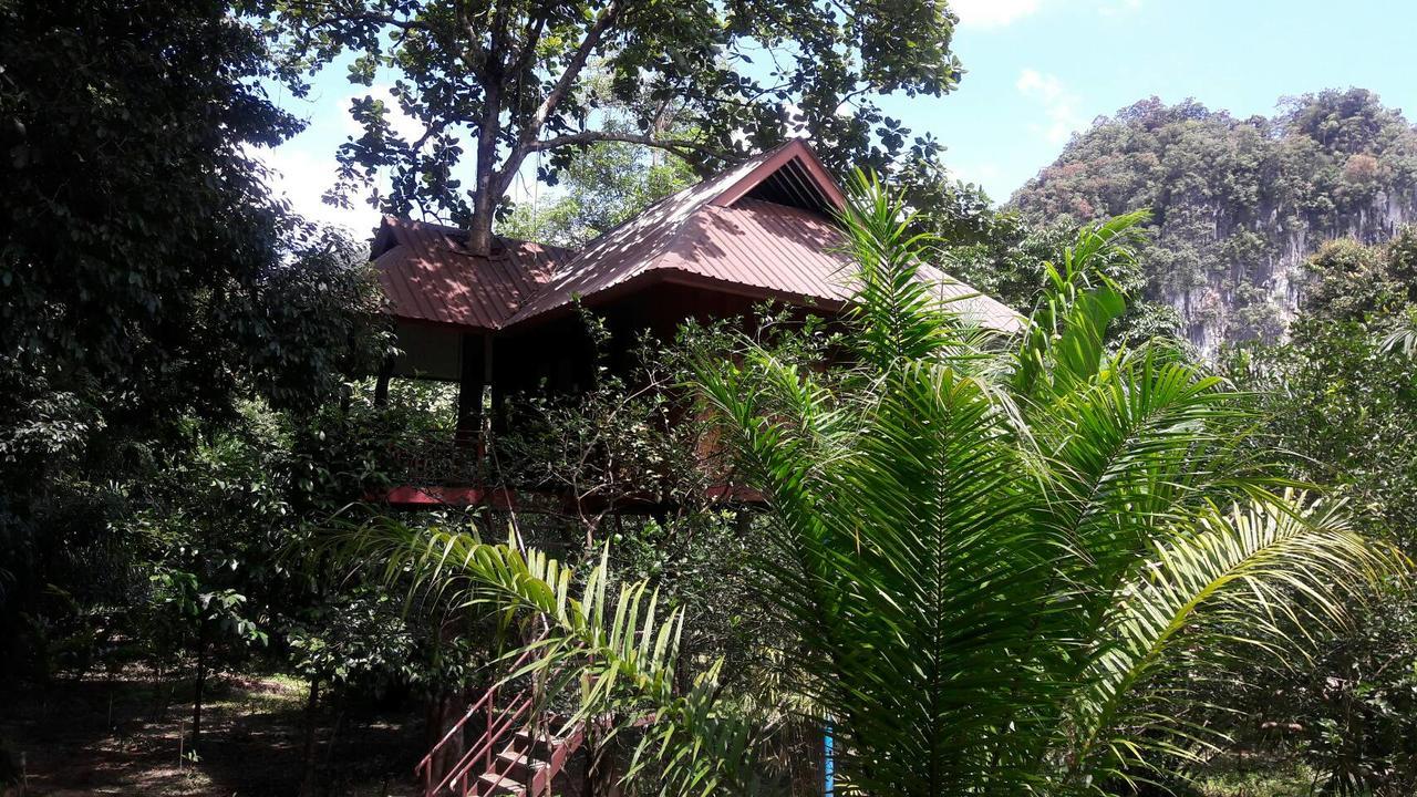 Baan Khaosok Resort Khao Sok National Park Extérieur photo