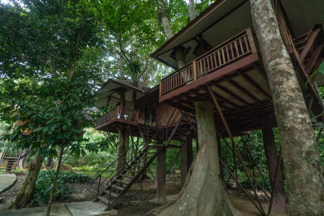 Baan Khaosok Resort Khao Sok National Park Extérieur photo