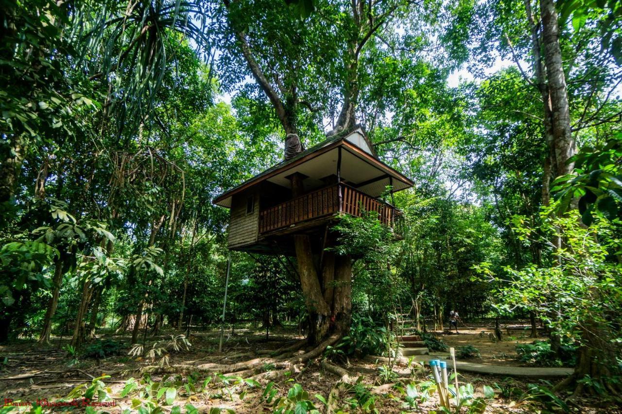 Baan Khaosok Resort Khao Sok National Park Extérieur photo